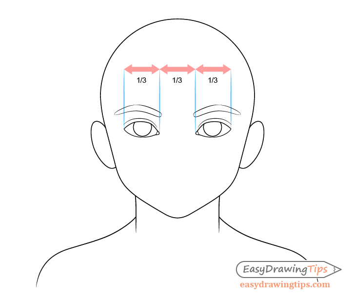 How to Draw a Young Girl in 12 Steps (With Proportions) - EasyDrawingTips