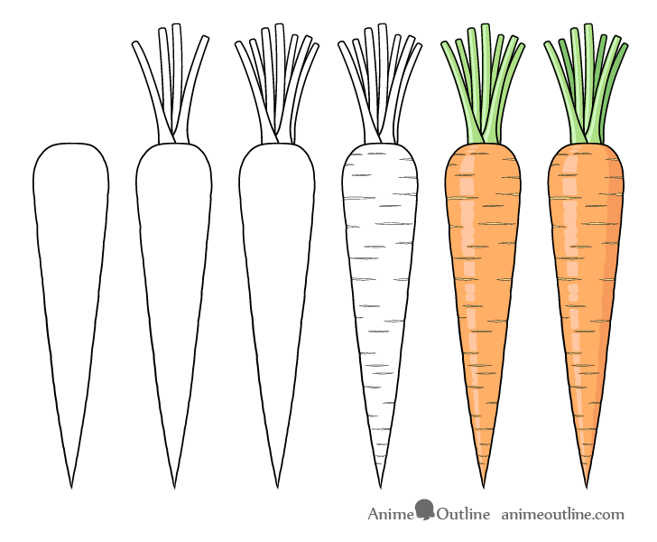 Carrot drawing step by step