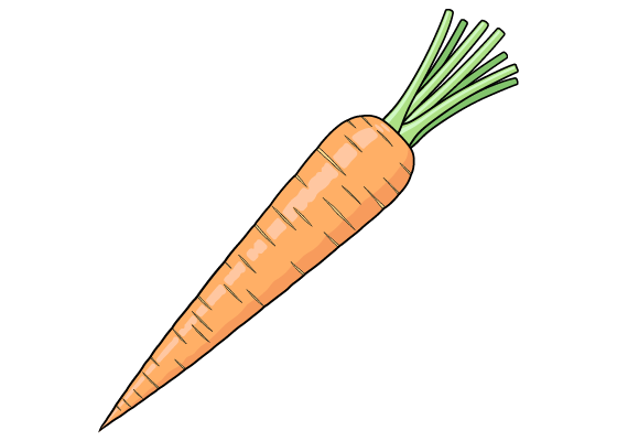 Carrot drawing tutorial