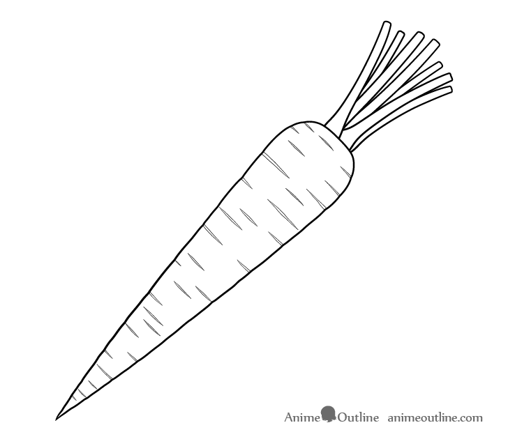Carrot line drawing