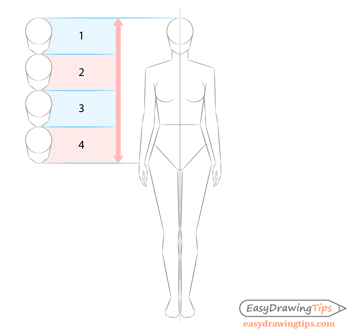 Body hands drawing