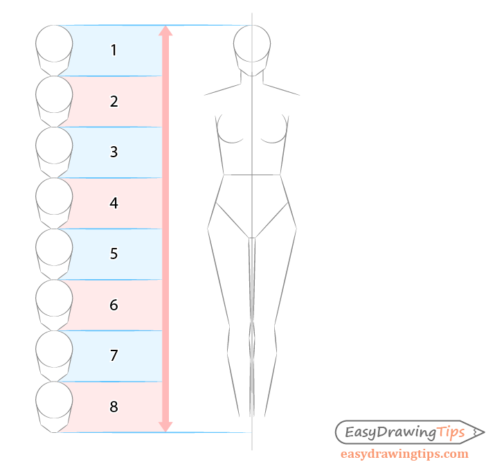 Body legs drawing