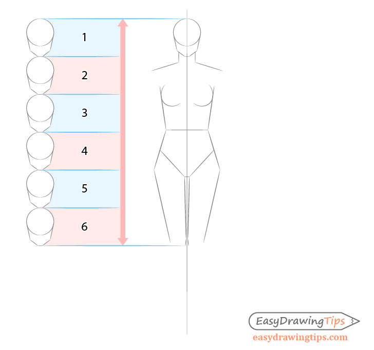 Body upper legs drawing