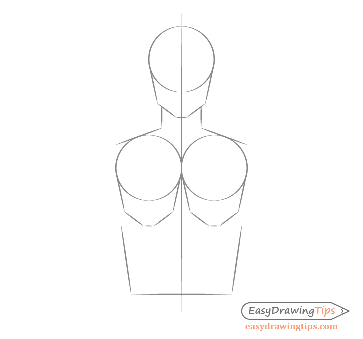 Body width drawing proportions