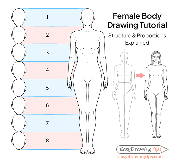 Female Body Drawing Tutorial