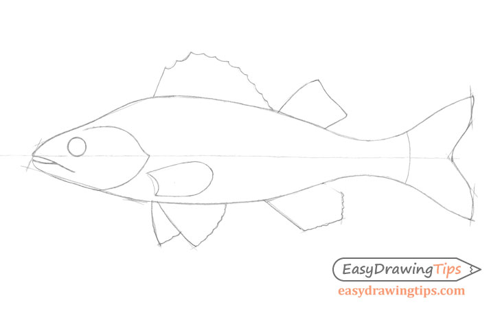 Fish outline drawing