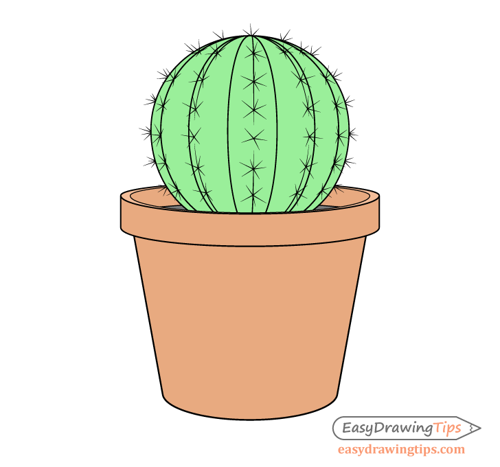 Cactus drawing coloring