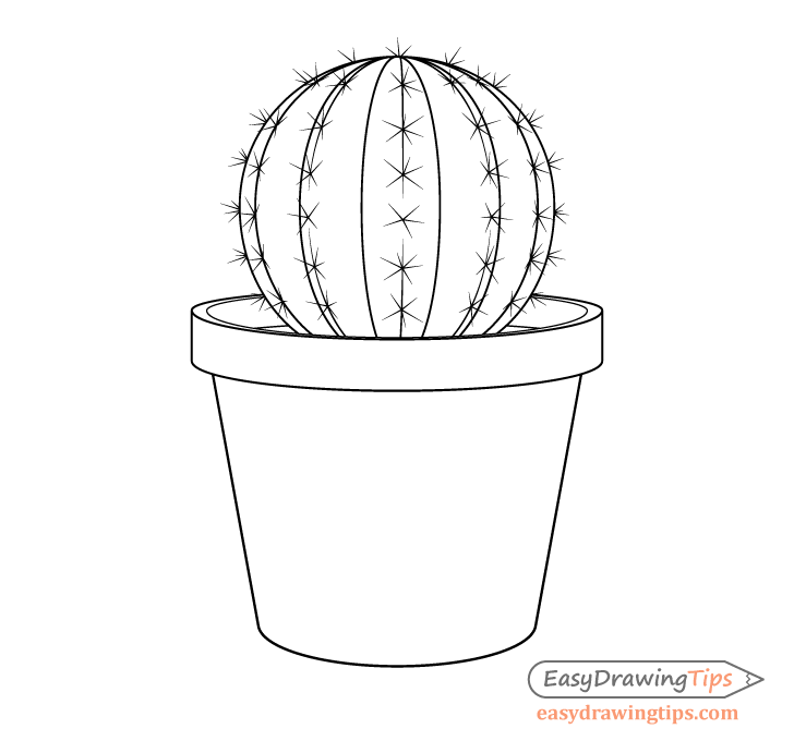 Cactus line drawing