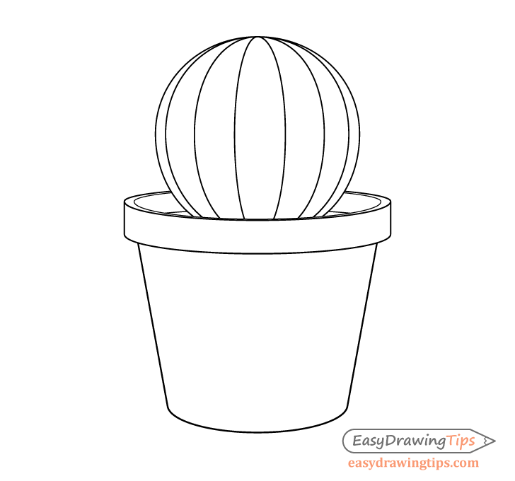Cactus ridges drawing