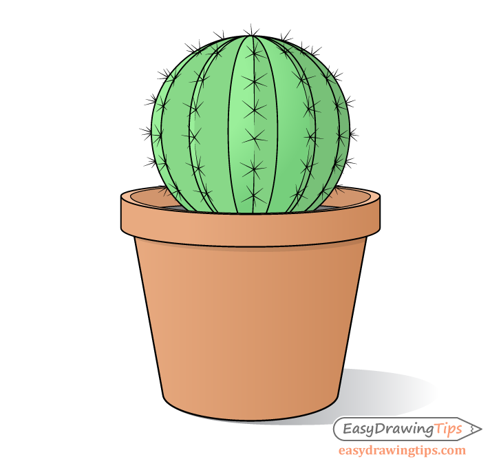 Cactus drawing