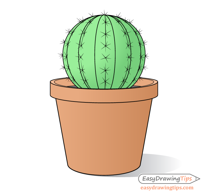 Cactus drawing shading