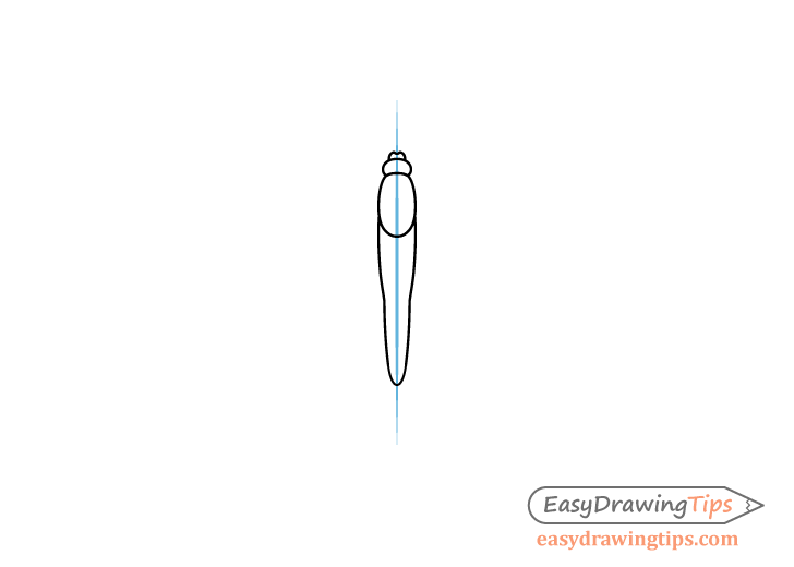 Monarch butterfly body drawing guide